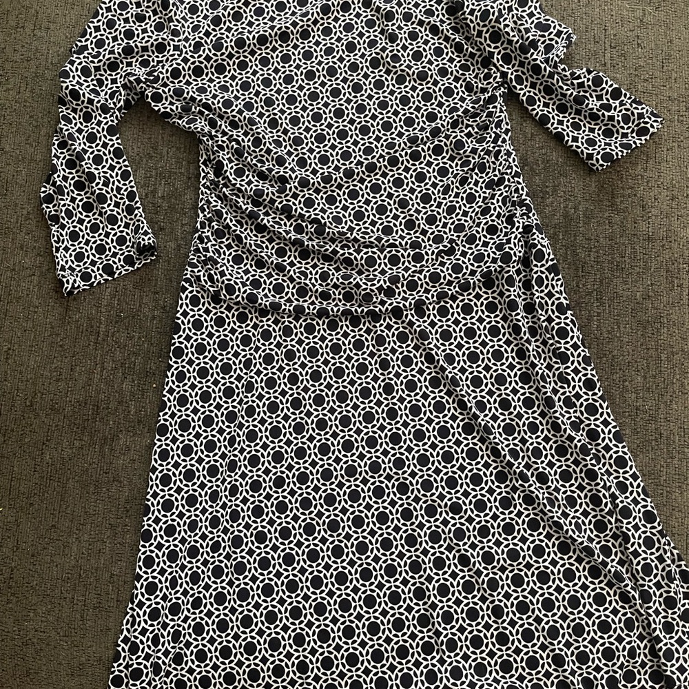 Enfocus Studio Black and White dress